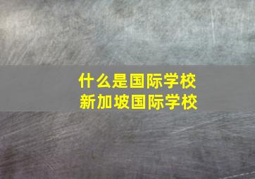 什么是国际学校 新加坡国际学校